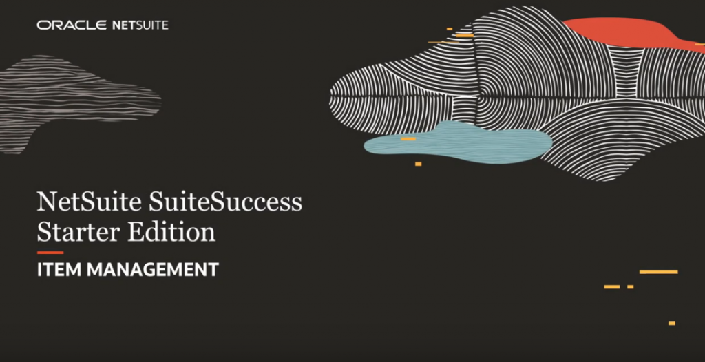 ns-suitesuccess-starter-edi-item-management
