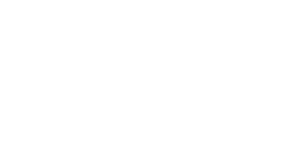 NetSuite Partner of Year- NewGen Business Solutions