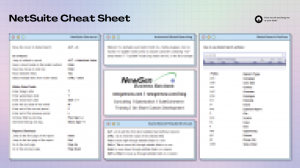 netsuite cheat sheet